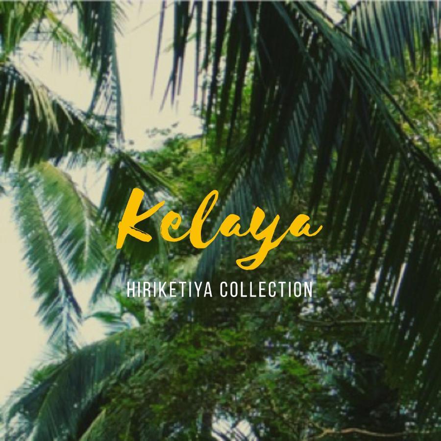 מלון דיקוולה Kelaya At Hiriketiya Collection מראה חיצוני תמונה